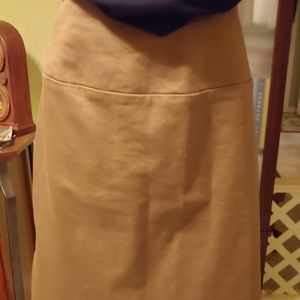 Women with control brown skirt